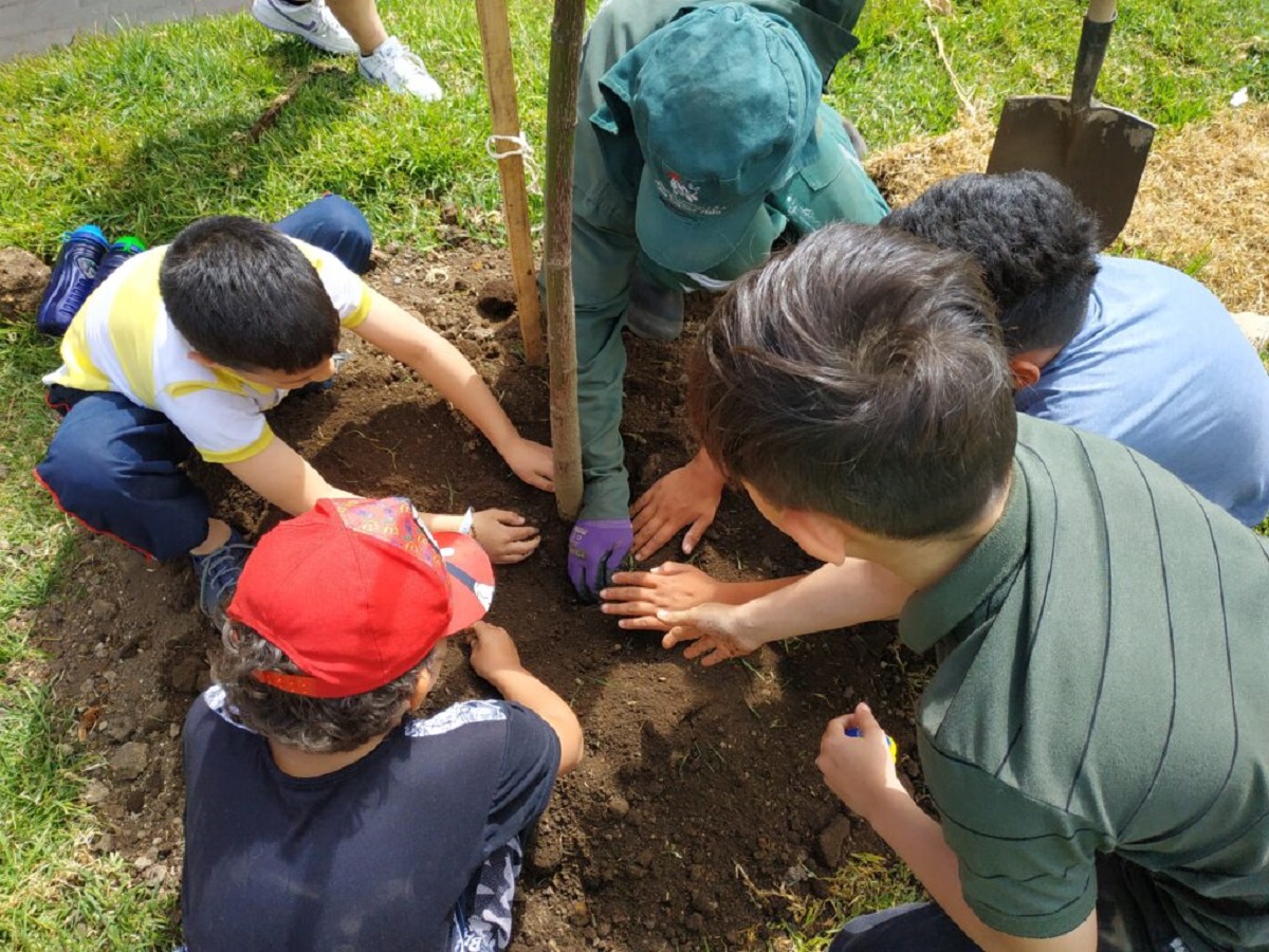 Niños, niñas, jóvenes y adultos participaron en la jornada de plantación