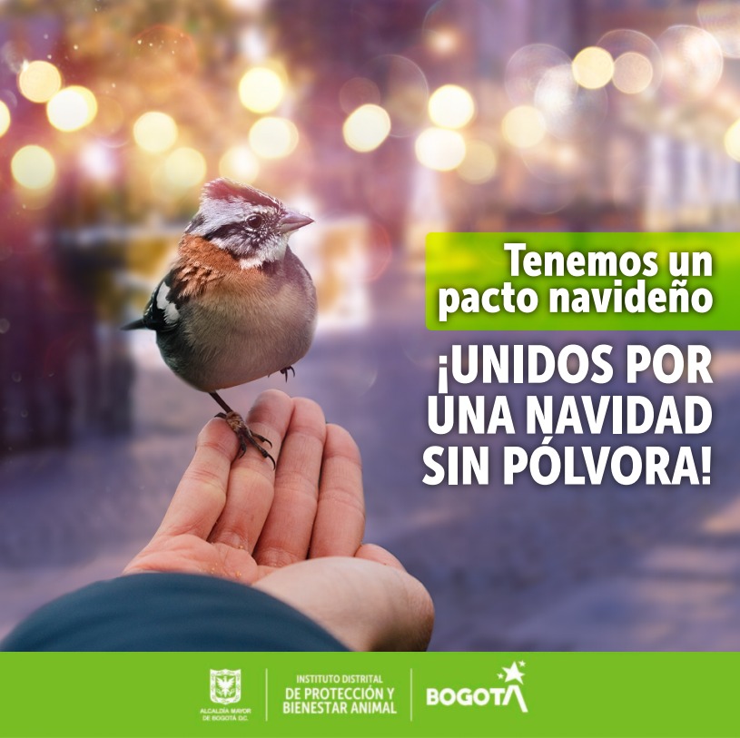 Imagen de la campaña