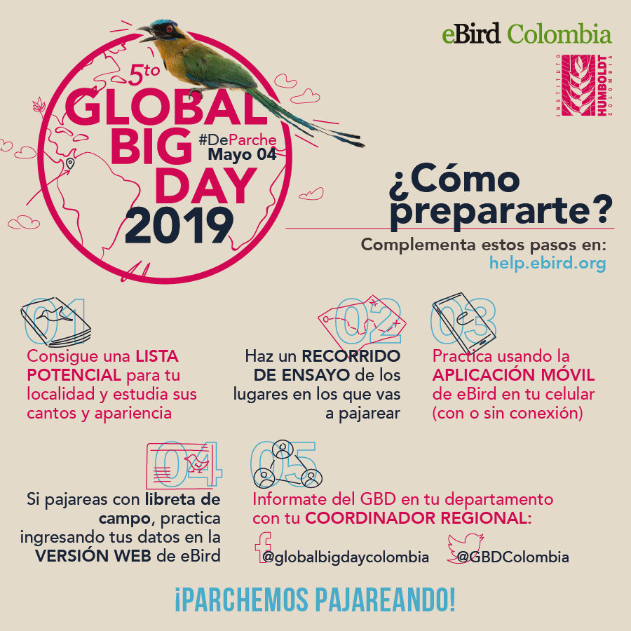 Global Big Day - tips de preparación 