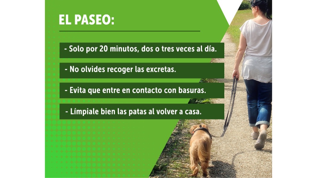 paseos