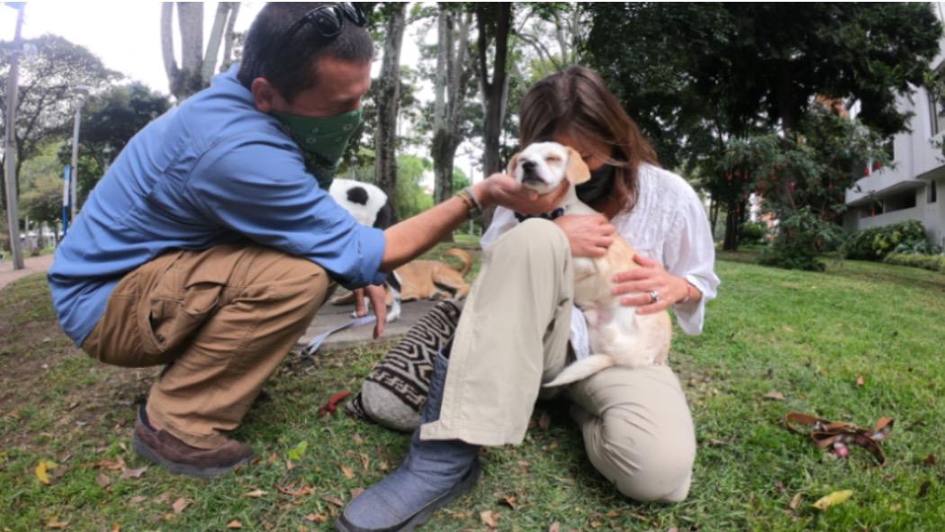 esterilizacion