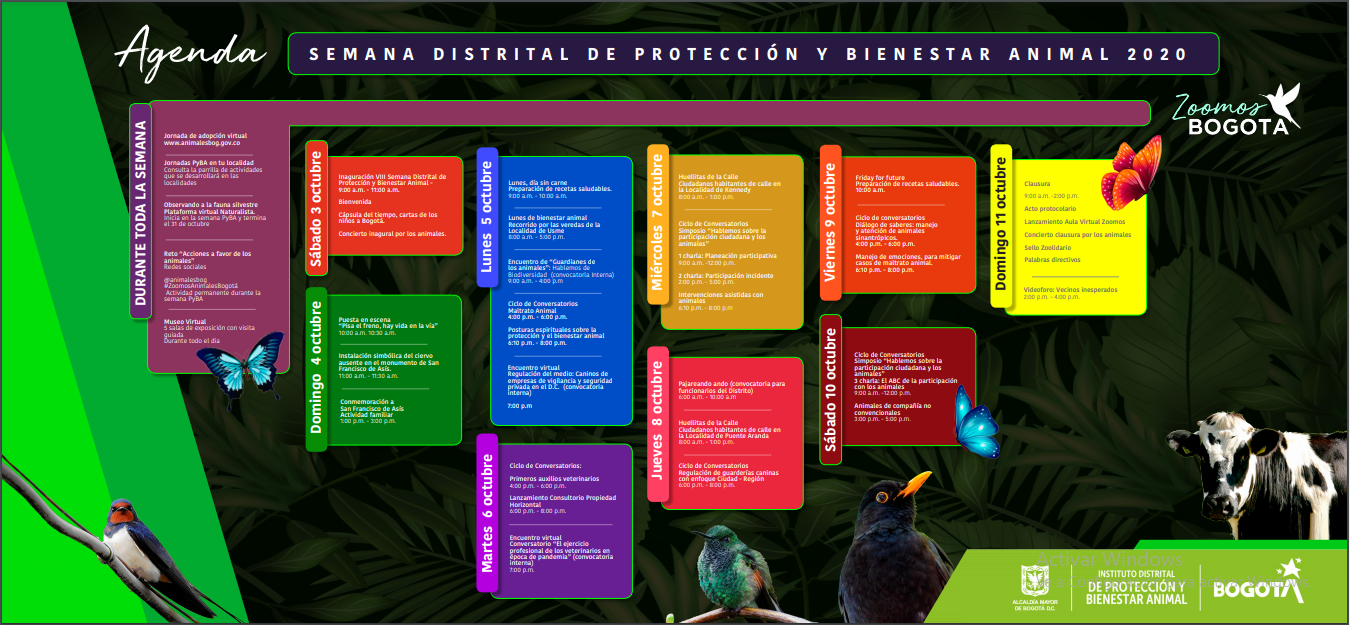 Imagen de la programación