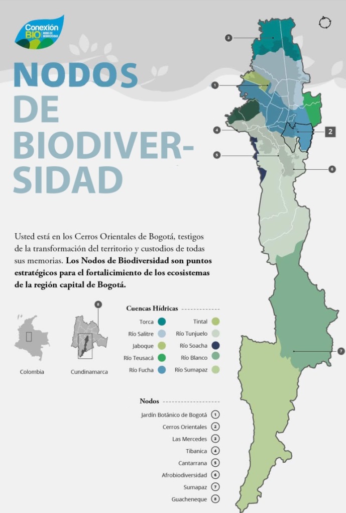 conexión bio