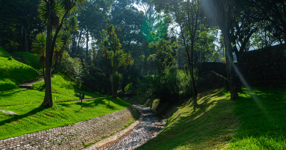 Recuperación Parque Nacional zona verde