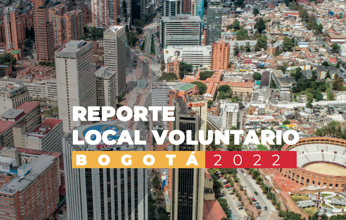 Reporte Local Voluntario