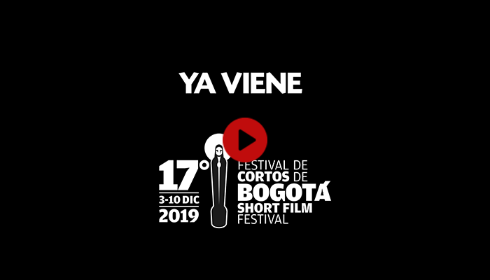 Nueva edición de Bogoshorts 