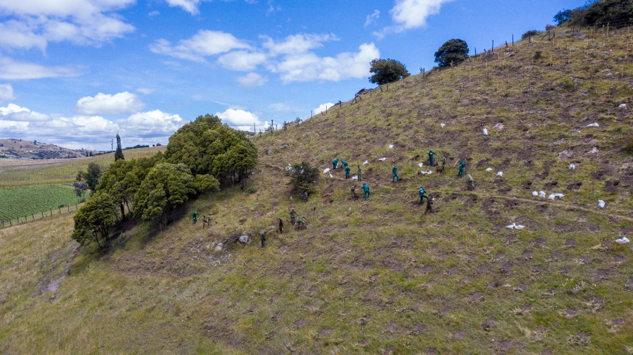 El Distrito mejora las condiciones ambientales y el reverdece Bogotá - FOTO: Prensa Secretaría de Ambiente