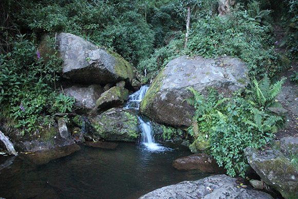 Río Arzobispo