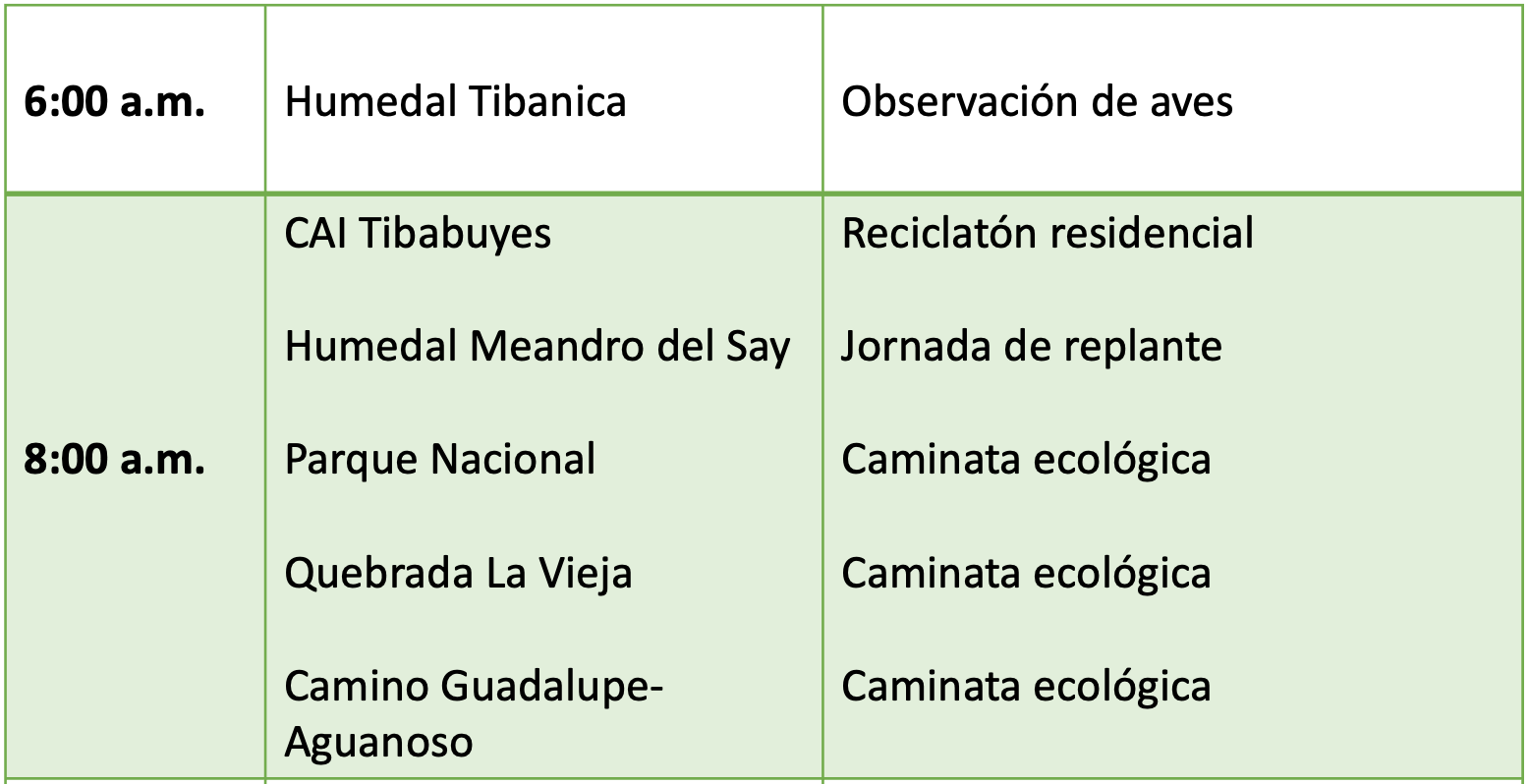 cronograma 