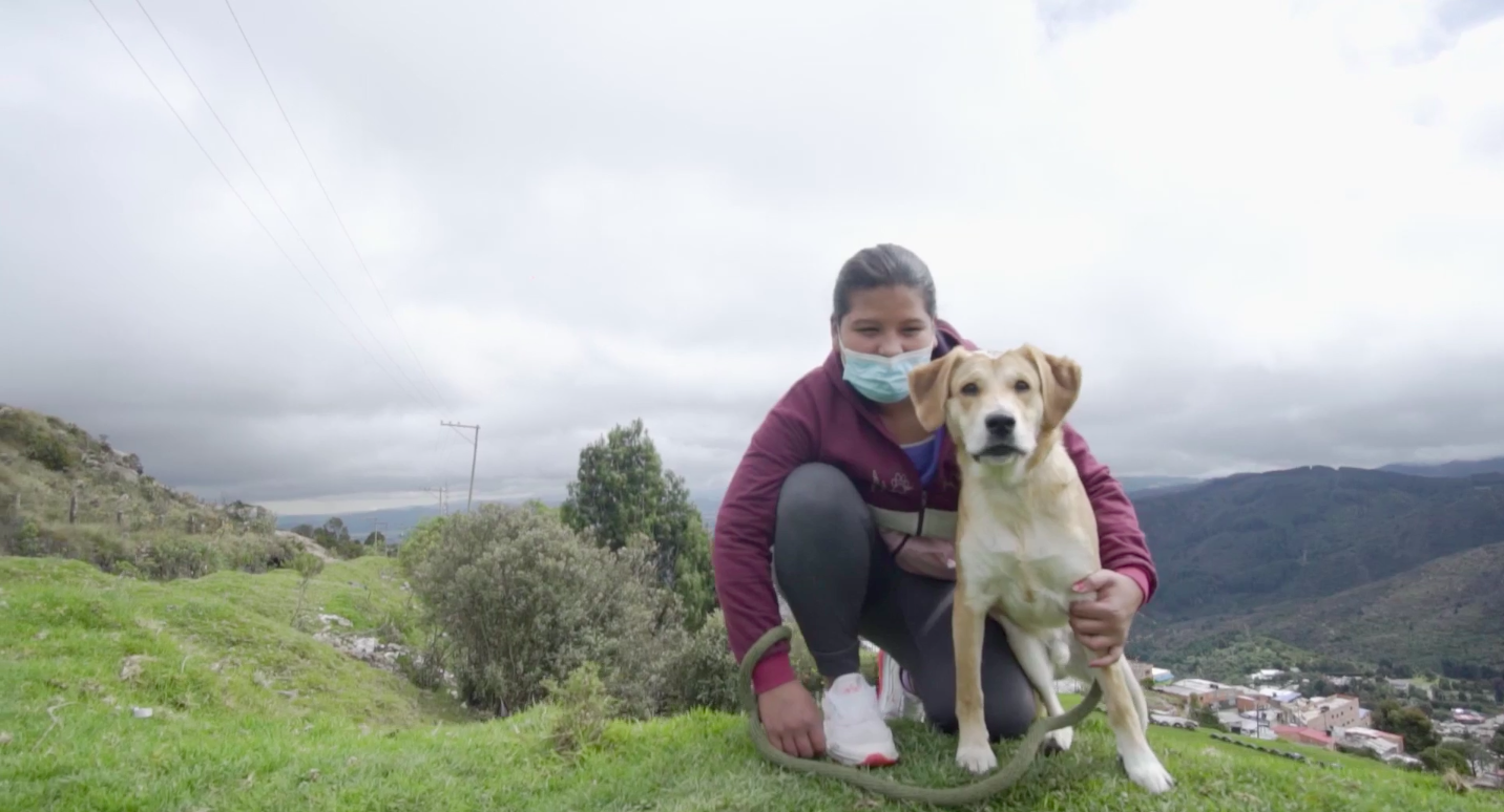 perro en montana