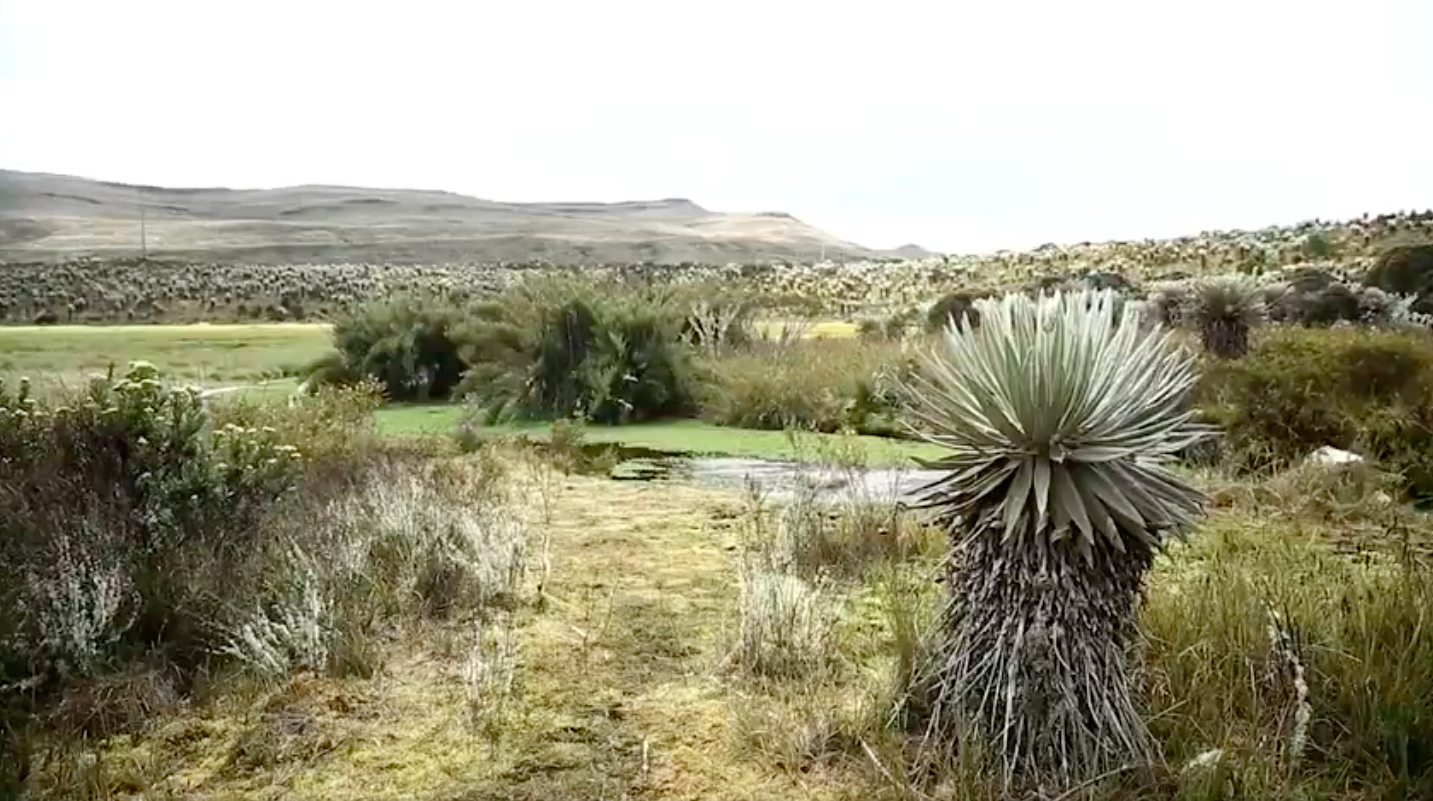 sumapaz