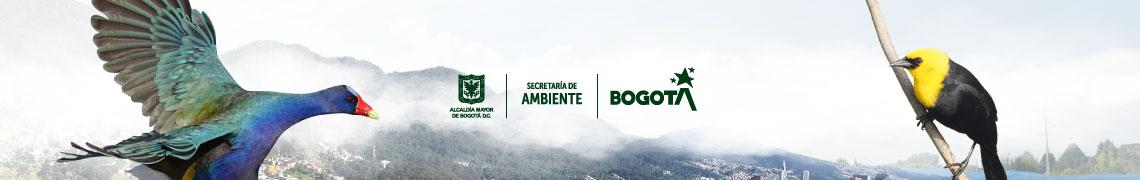 Semana Ambiental 2024