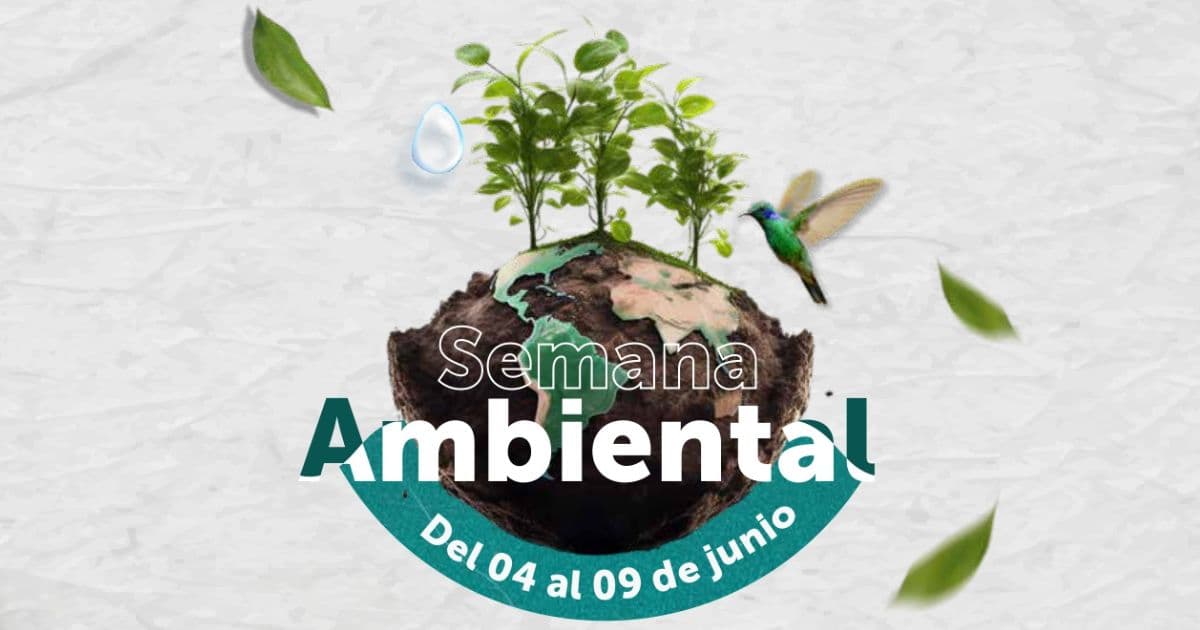 Semana Ambiental 2024 