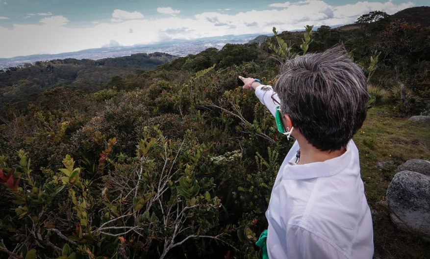 Alcaldí adecuará sendero ecológico en Vereda El Verjón - Foto: Comunicaciones Alcaldía Bogotá