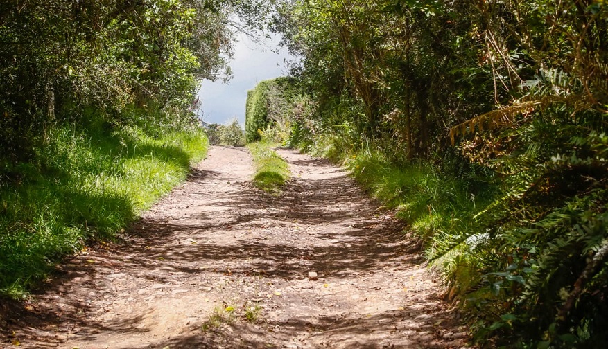 Alcaldí adecuará sendero ecológico en Vereda El Verjón - Foto: Comunicaciones Alcaldía Bogotá