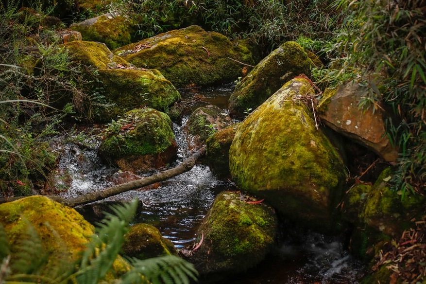 Alcaldí adecuará sendero ecológico en Vereda El Verjón - Foto: Comunicaciones Alcaldía Bogotá