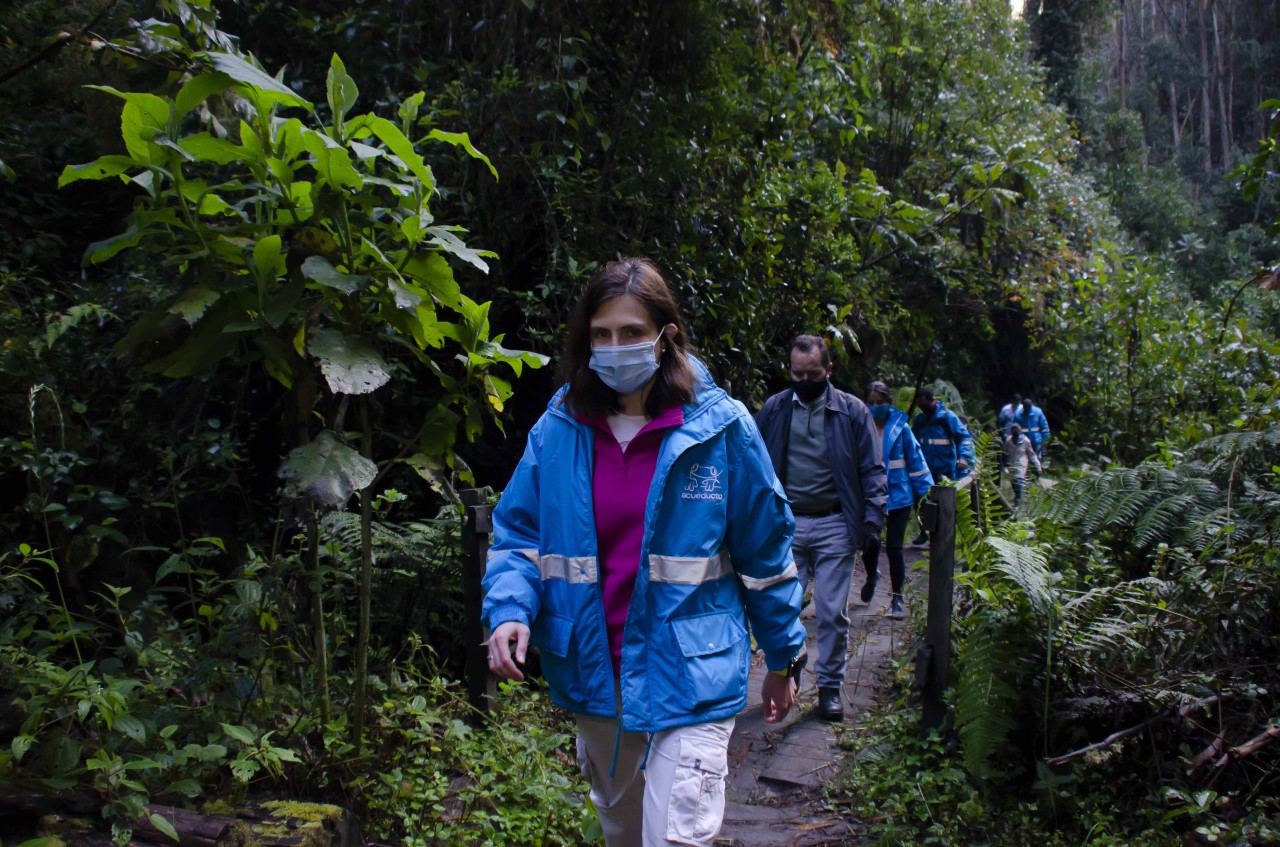 https://bogota.gov.co/servicios/servicios-del-distrito/asi-fue-la-reapertura-de-los-senderos-ecologicos