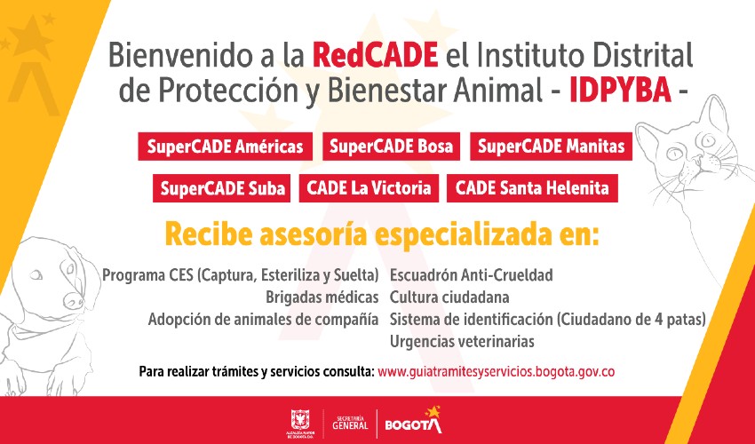 Servicios del IDPYBA llegan a la Red CADE