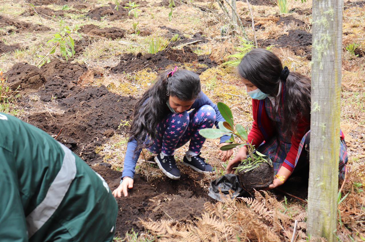 Niñas de Sumapaz aprendiendo a implantar flores