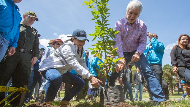 Peñalosa plantando árboles