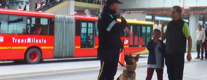 Perro retirados del sistema TransMilenio 