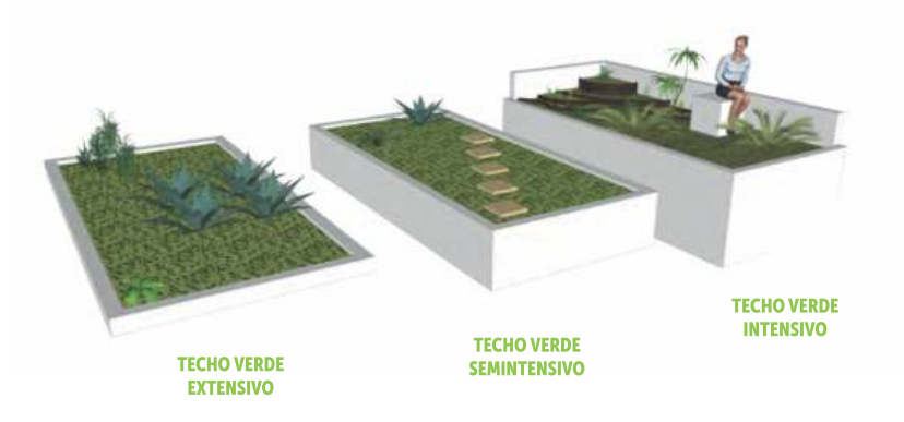 techo verde