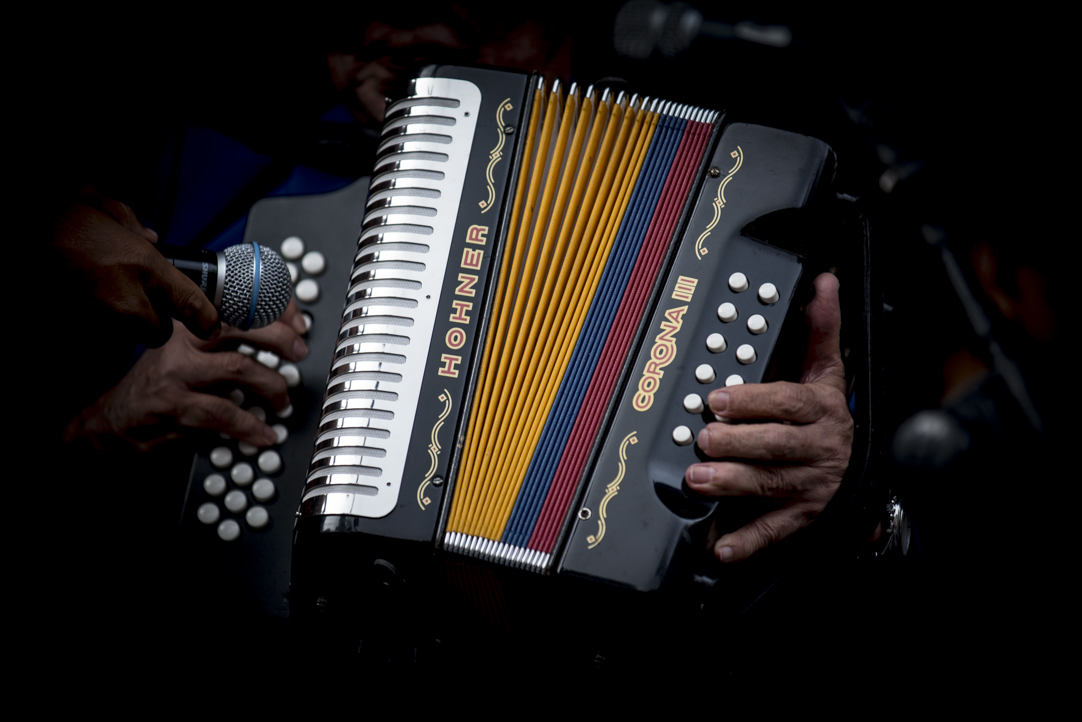 Vallenato al Parque 