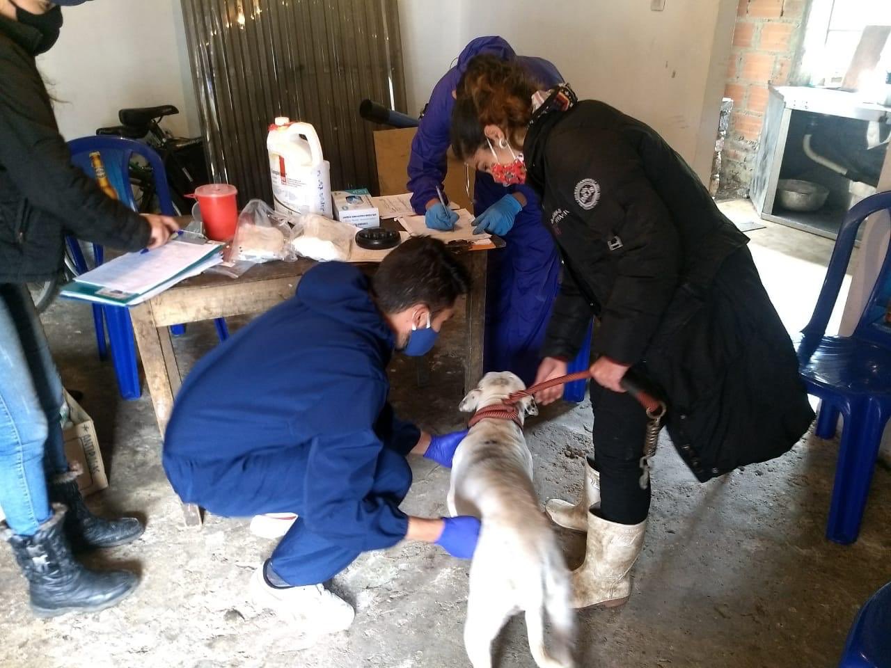 Atención a animales en localidad Santa Fe