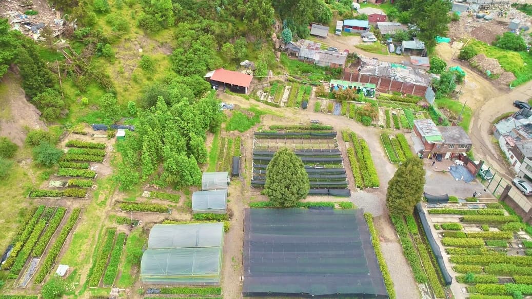 Vivero Ceresa el centro de restauración ecológica más grande de Bogotá 1