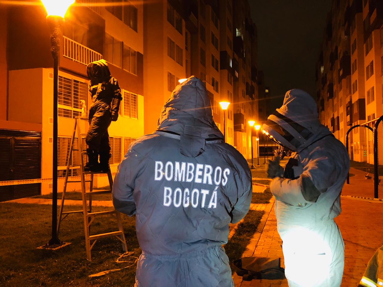 Bomberos atienden a diario entre 5 y 10 emergencias por abejas - FOTO: Consejería de Comunicaciones