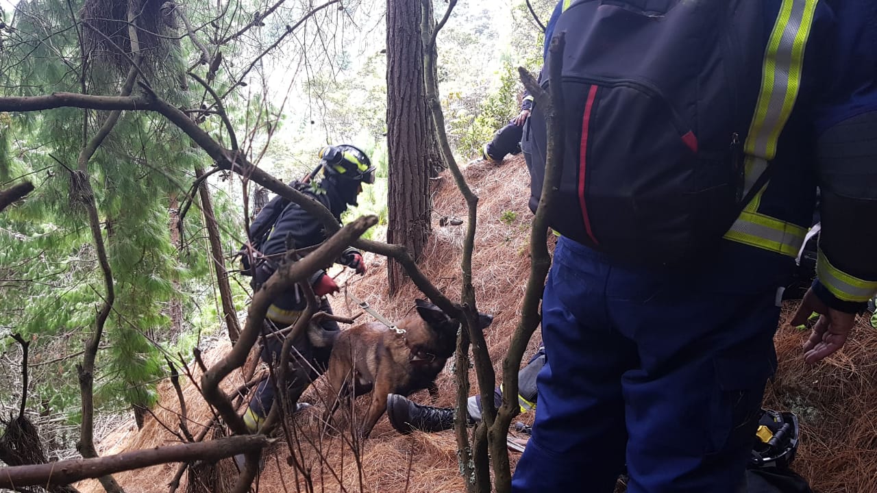 Grupo BRAE encargado del rescate de los animales en emergencias  - FOTO: Prensa Bomberos