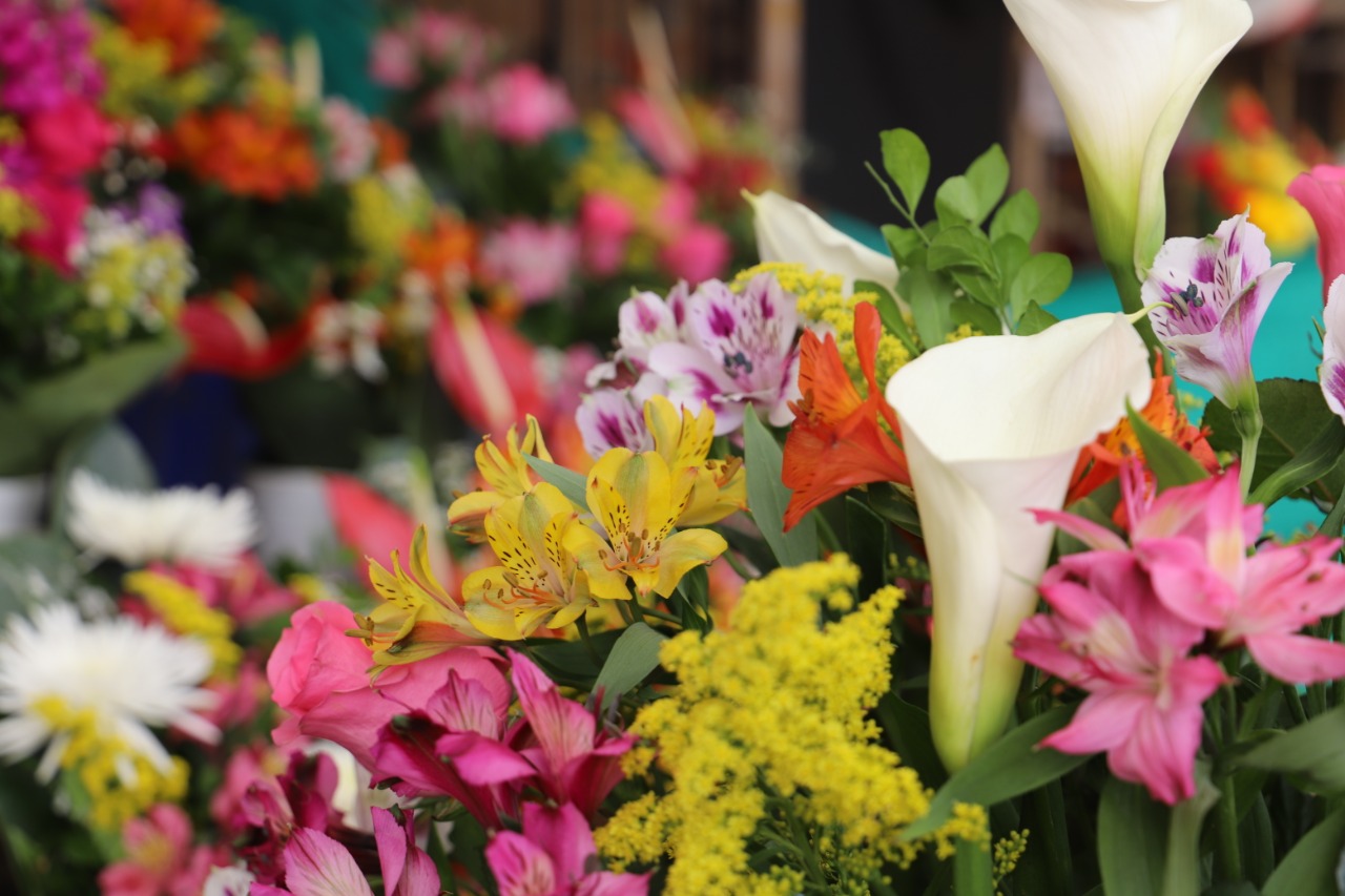 Reactívate con flores