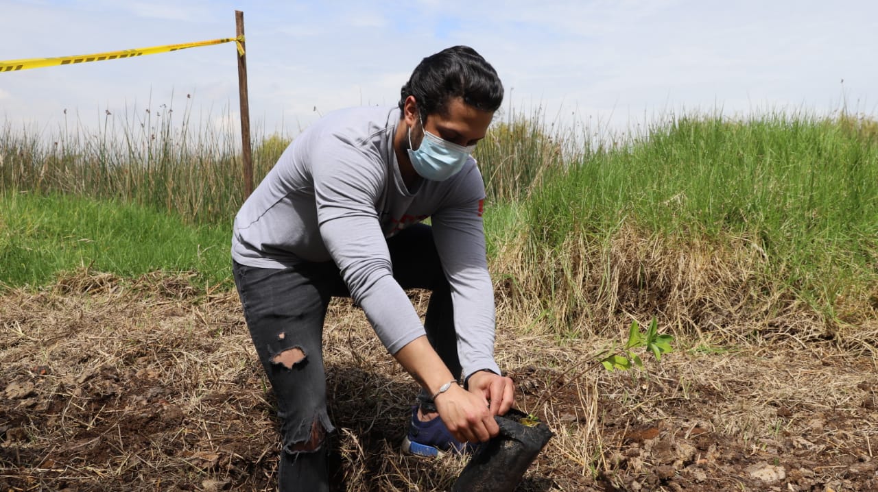 Siembra de árboles en el parque Entrenubes - FOTO: Prensa Secretaría de Ambiente