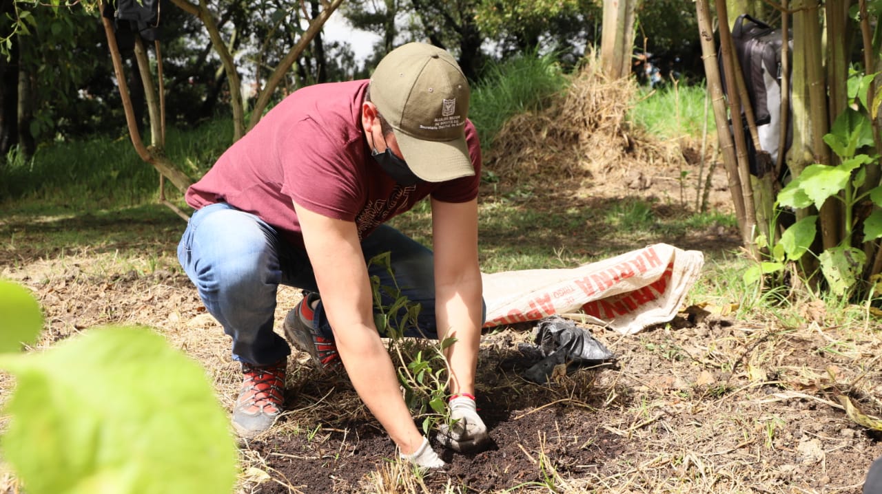 Siembra de árboles en el parque Entrenubes - FOTO: Prensa Secretaría de Ambiente