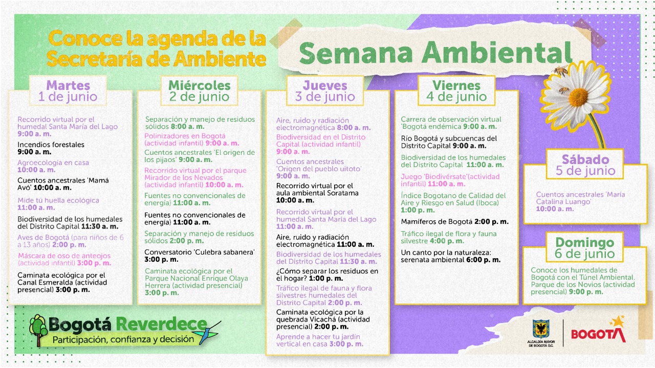 actividades 