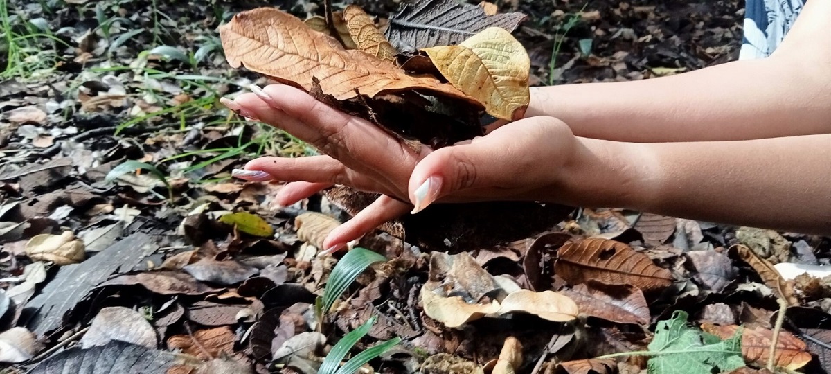 Terapias de naturaleza en el Jardín Botánico