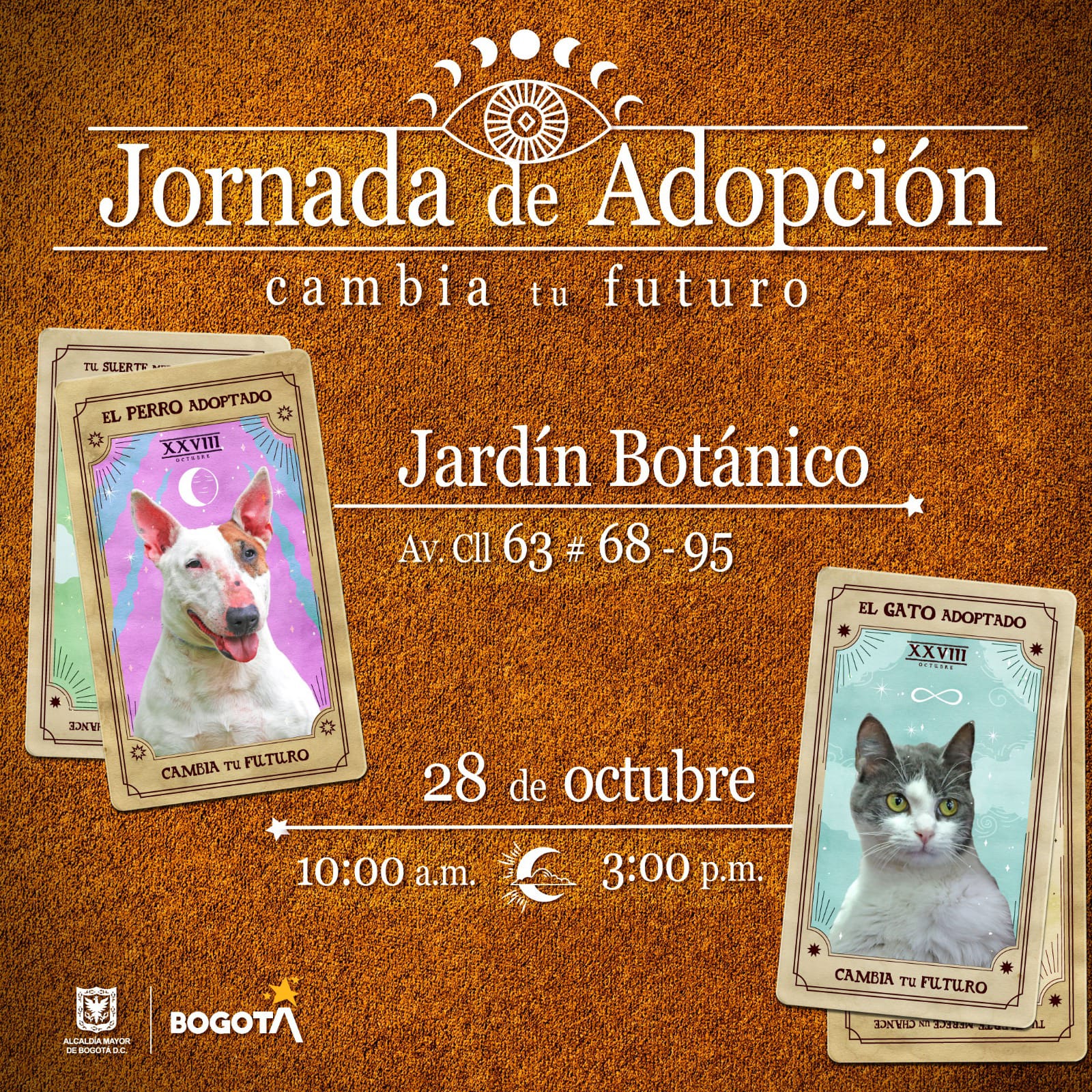 Adopción IDPYBA