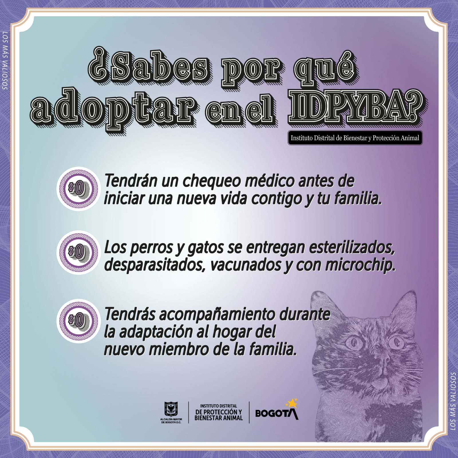 Adopción con IDPYBA