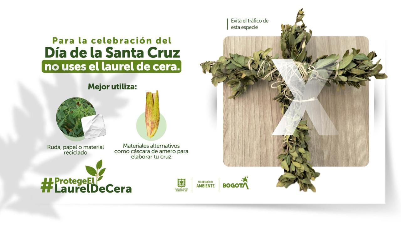 Distrito hace llamado para protección y conservación de laurel de cera