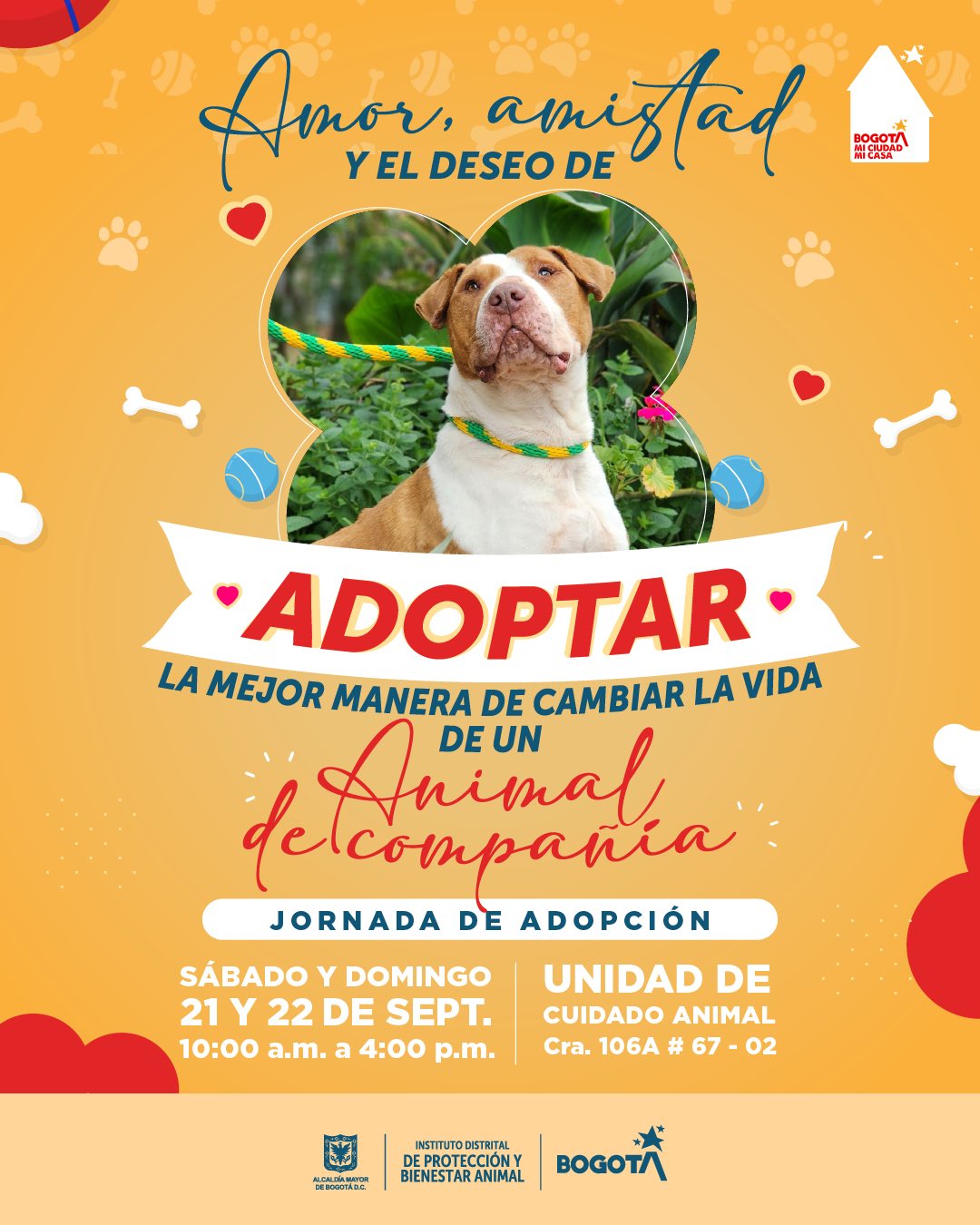 Jornada de adopción de perros en Bogotá 21 y 22 de septiembre 2024