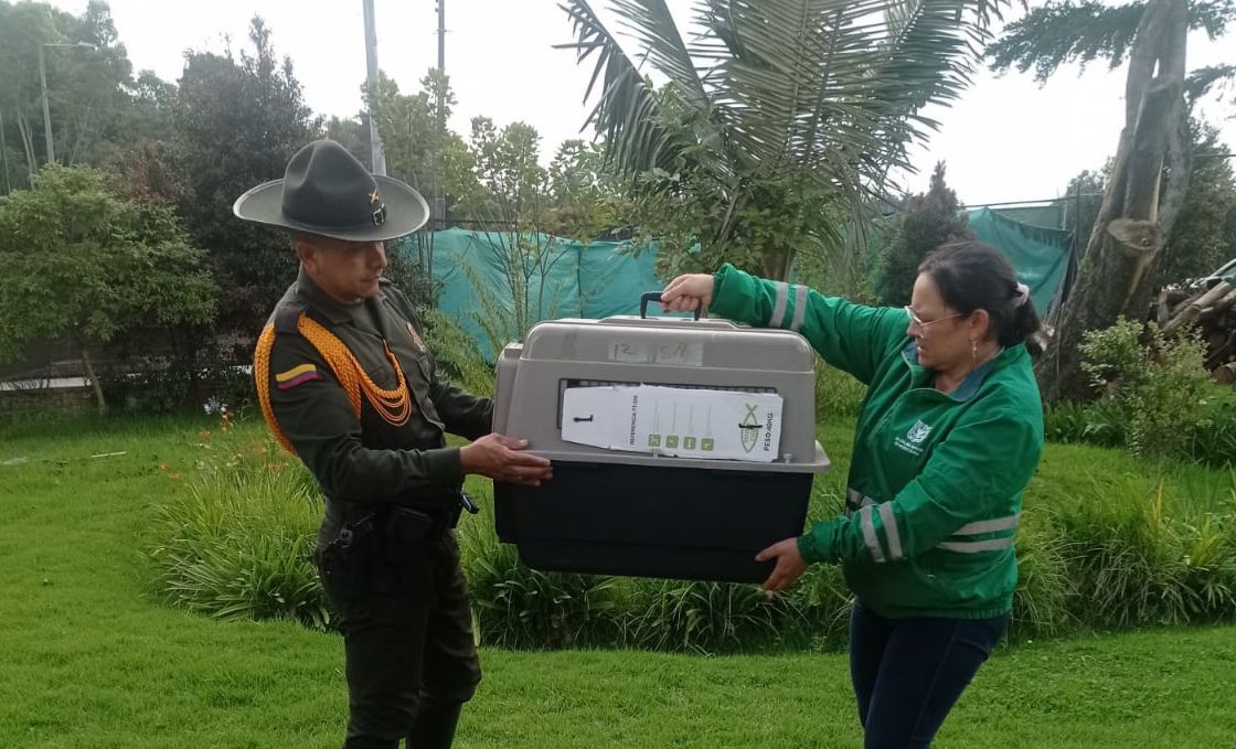 Distrito recupera primate que deambulaba por localidad Bosa Bogotá 