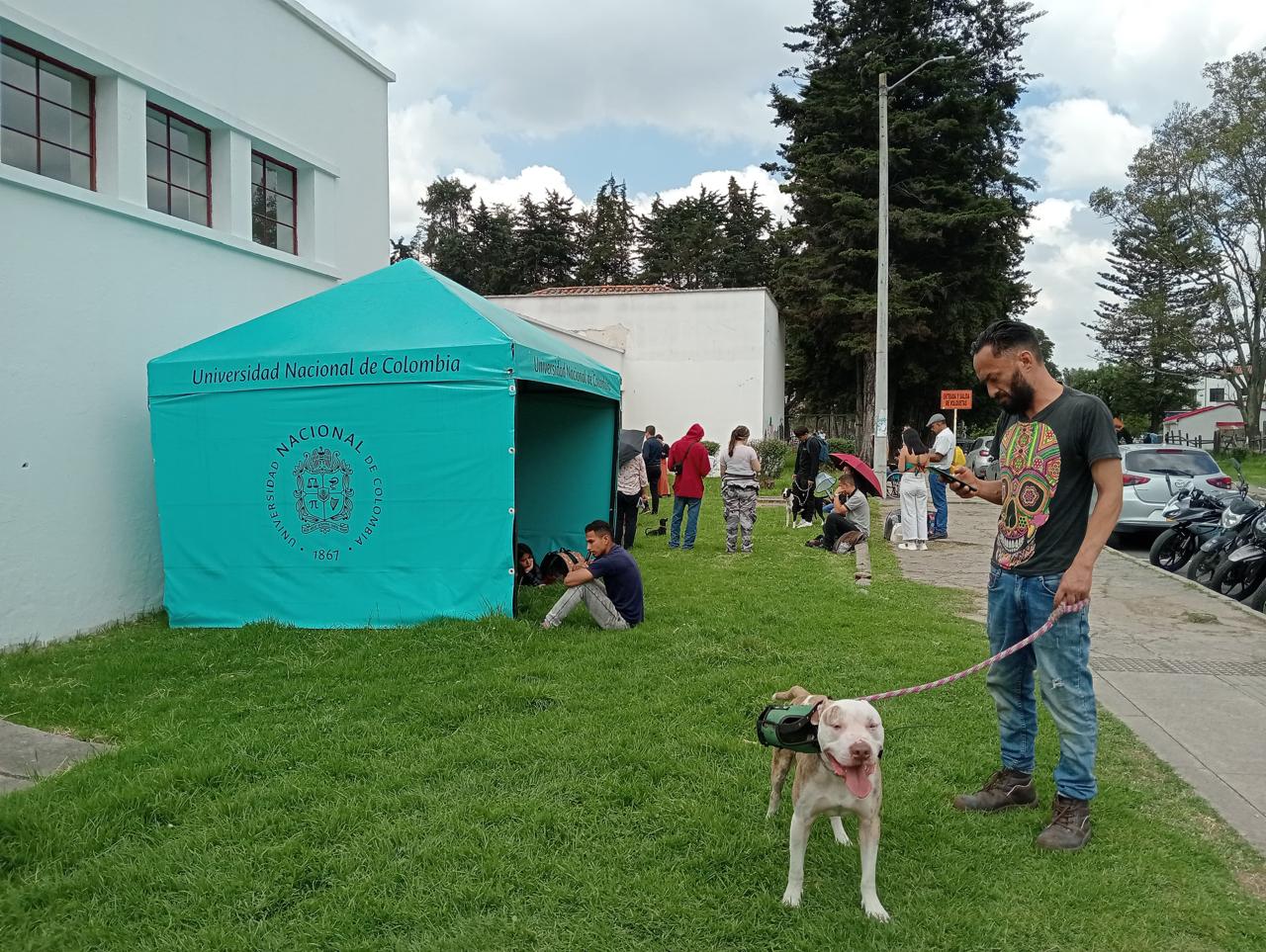 Esterilización gratuita de mascotas de Bogotá en Universidad Nacional