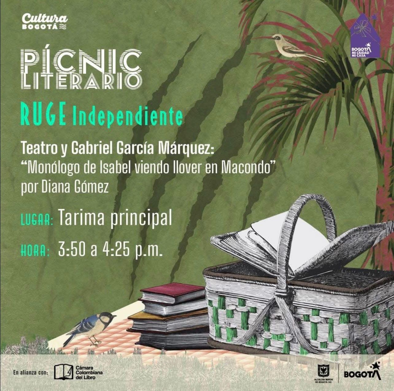 Picnic Literario