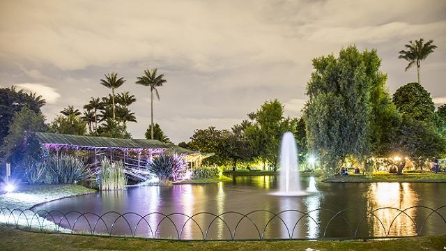 Foto: Jardín Botánico