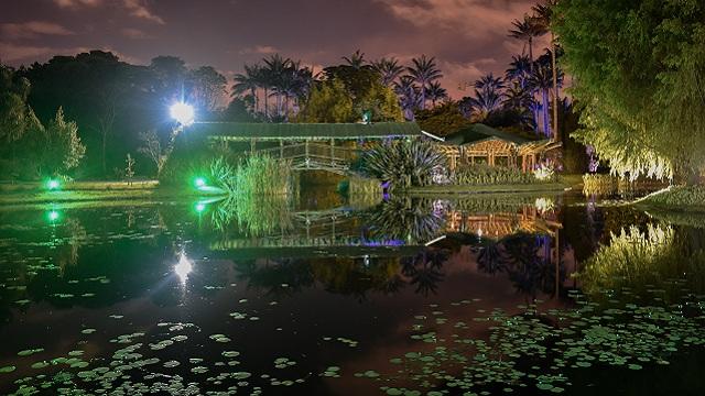 Imagen del Jardín Botánico de Bogotá 