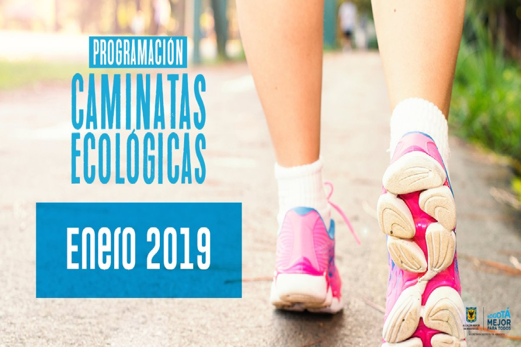 Caminatas ecológicas en Bogotá