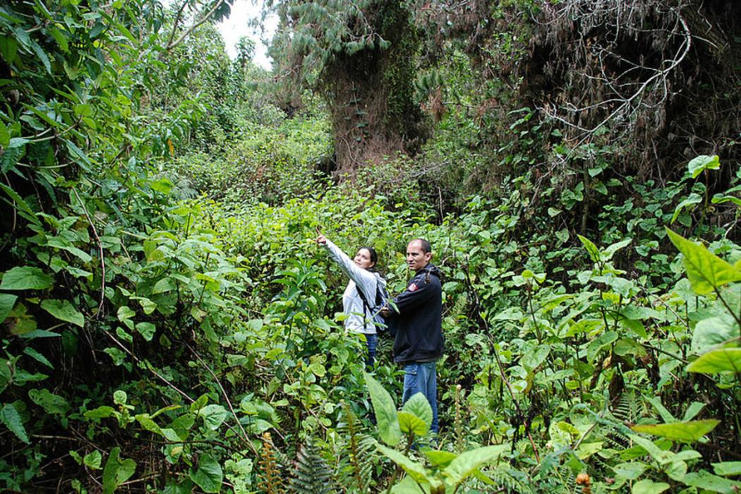 Ciudadanos dedicados a la ganadería en la localidad 20 de Sumapaz.