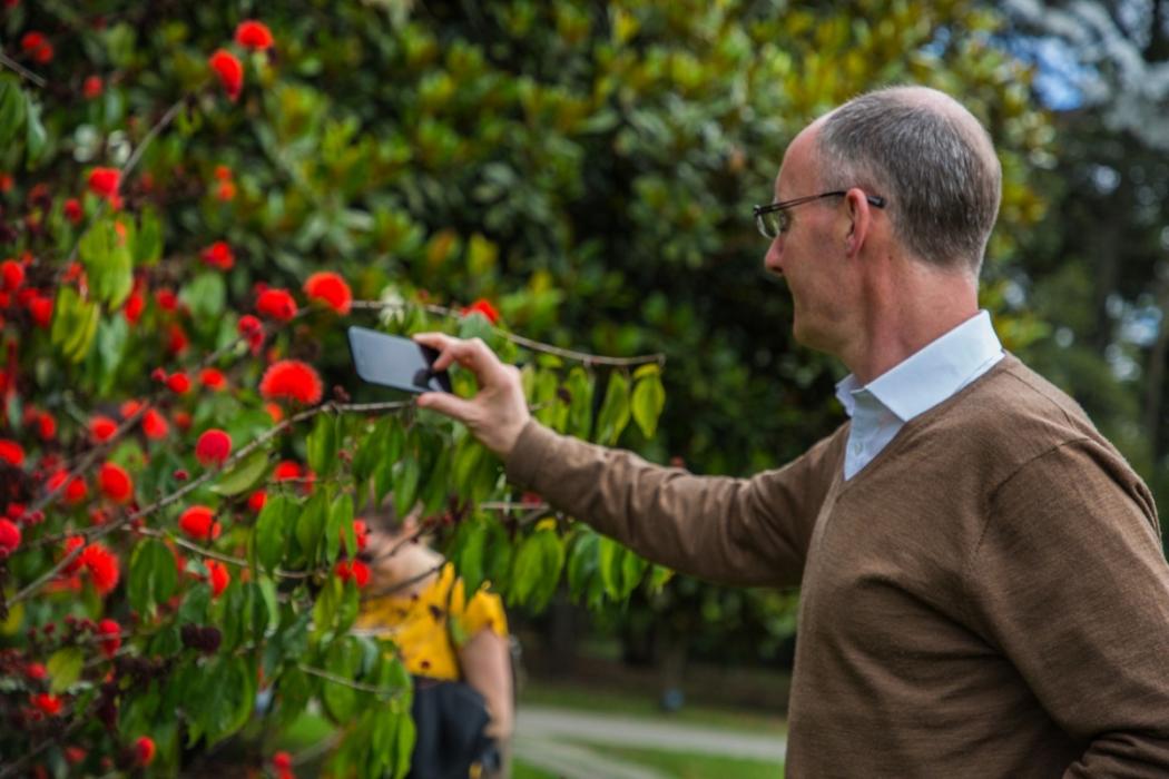 Jardín Botánico de Londres reconoce el trabajo de silvicultura del jardín Botánico