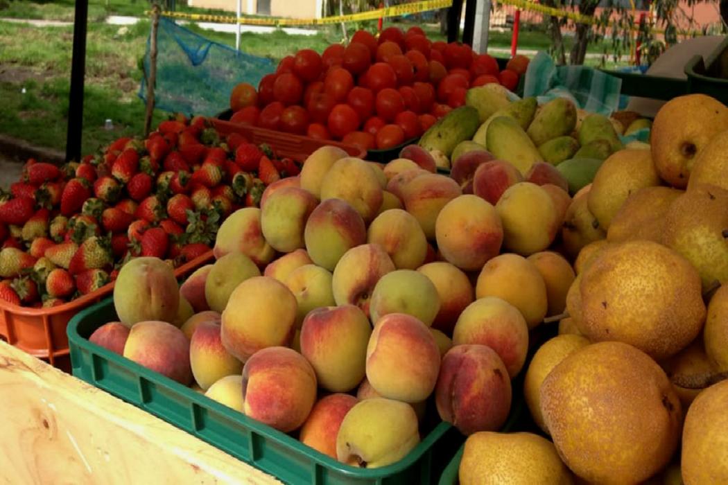 ¿Cómo hacer parte de los Mercados Campesinos?