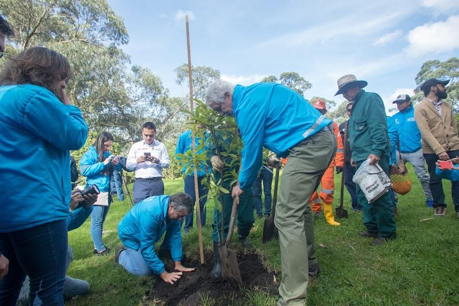 Bogotá tiene un censo aproximado de 1.272.510 árboles en espacio público y otros 900.000 en espacio privado, para un total de 2.172.510.